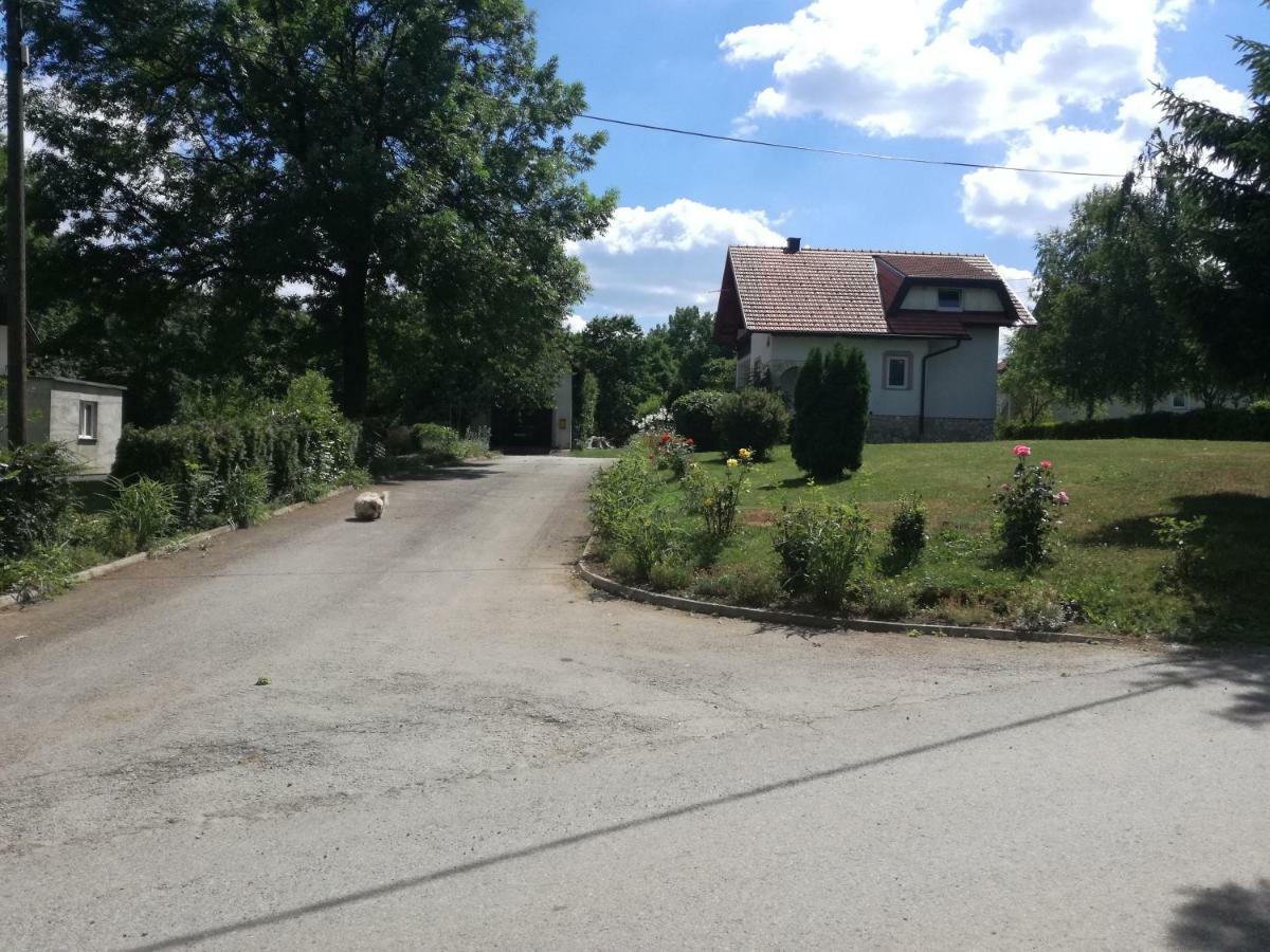 Apartman Jasmin Apartment Čatrnja Екстериор снимка