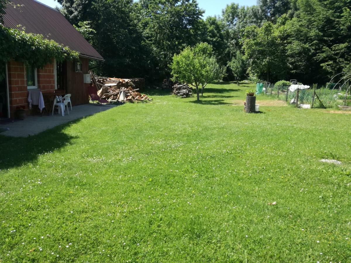 Apartman Jasmin Apartment Čatrnja Екстериор снимка
